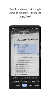 Screenshot image
