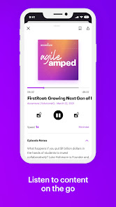 Screenshot image